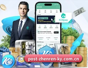 开云真人 APP 深度功能