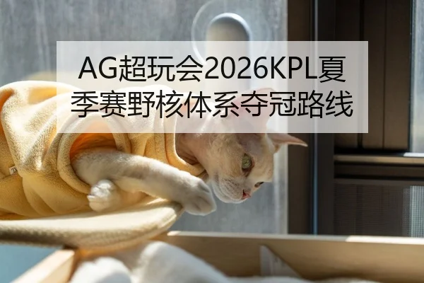 AG超玩会2026KPL夏季赛野核体系夺冠路线