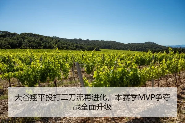 大谷翔平投打二刀流再进化，本赛季MVP争夺战全面升级