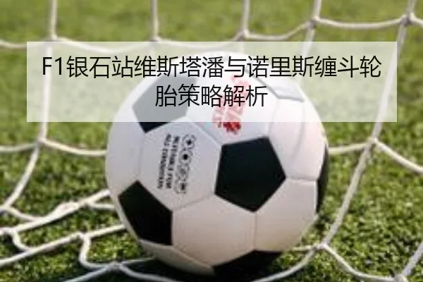 F1银石站维斯塔潘与诺里斯缠斗轮胎策略解析