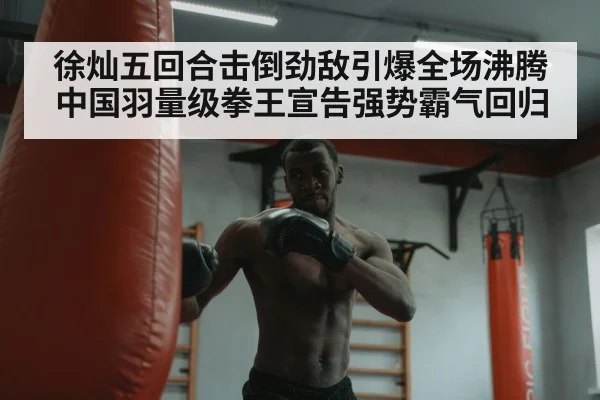 boxer training heavy bag